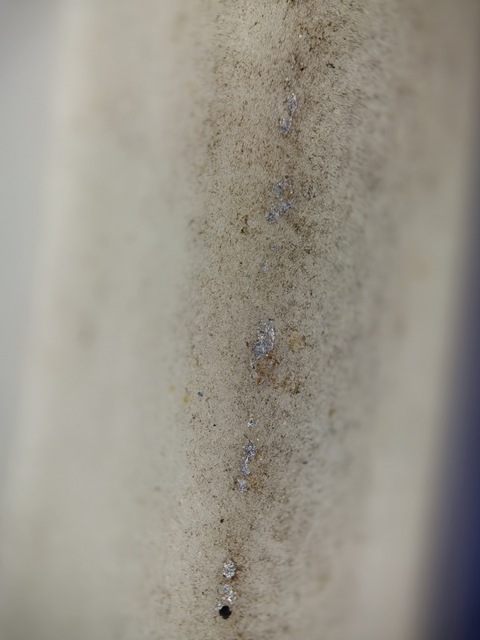 古玩陶瓷青花玲瓏瓷牡丹紋盤真品鑒賞圖