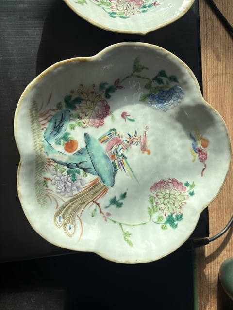 古玩陶瓷鳳凰牡丹紋粉彩花口盤真品鑒賞圖