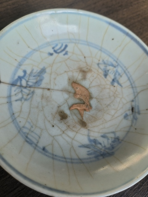 古玩陶瓷青花魚藻紋臥足盤真品鑒賞圖