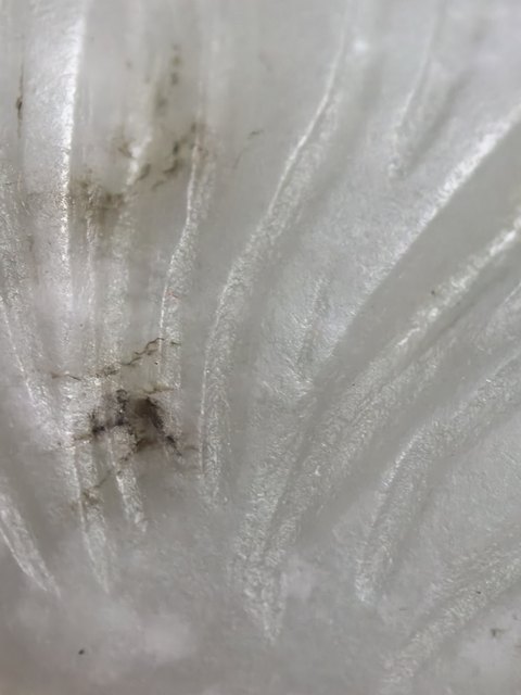 古玩玉器獨(dú)山玉雕“魚(yú)化龍佩”真品鑒賞圖