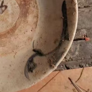 古玩陶瓷青花碗真品鑒賞圖