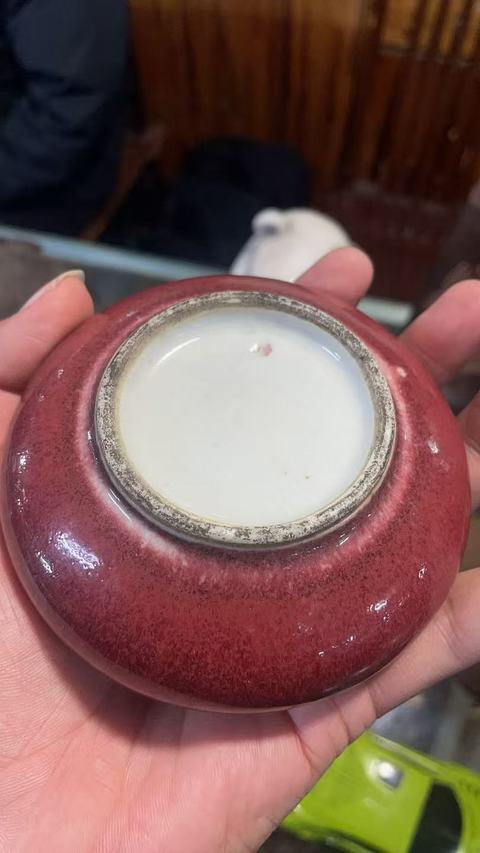 古玩陶瓷郎紅釉水盂真品鑒賞圖