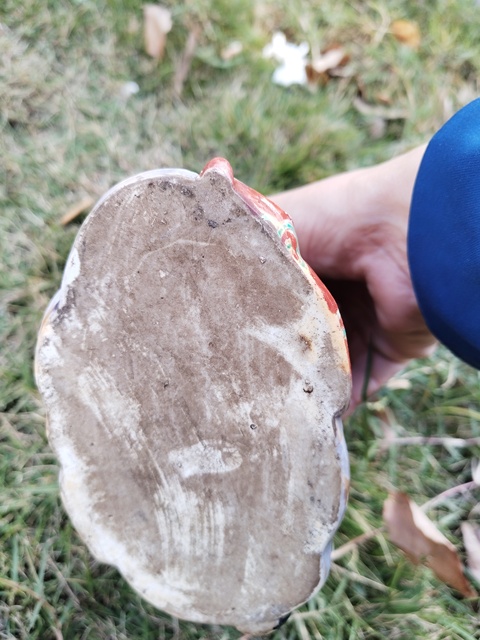 古玩陶瓷粉彩人物瓷像（日本）真品鑒賞圖