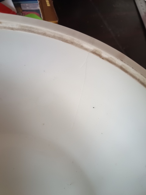 古玩陶瓷山水紋四系蓋盆拍賣，當(dāng)前價格150元