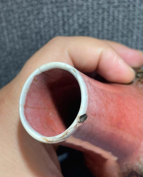 古玩陶瓷三陽開泰膽瓶真品鑒賞圖