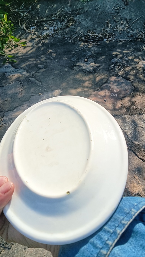 古玩陶瓷白釉盤真品鑒賞圖