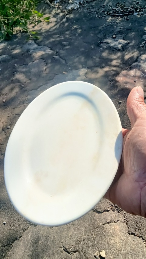 古玩陶瓷白釉盤真品鑒賞圖