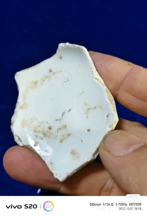 古玩陶瓷江西瓷業(yè)公司款青花標(biāo)本真品鑒賞圖