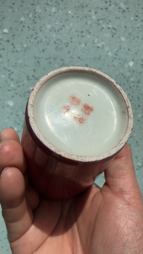 古玩陶瓷慎德堂制款胭脂紅釉杯真品鑒賞圖