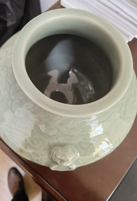 古玩陶瓷青釉暗刻花卉雙耳尊真品鑒賞圖