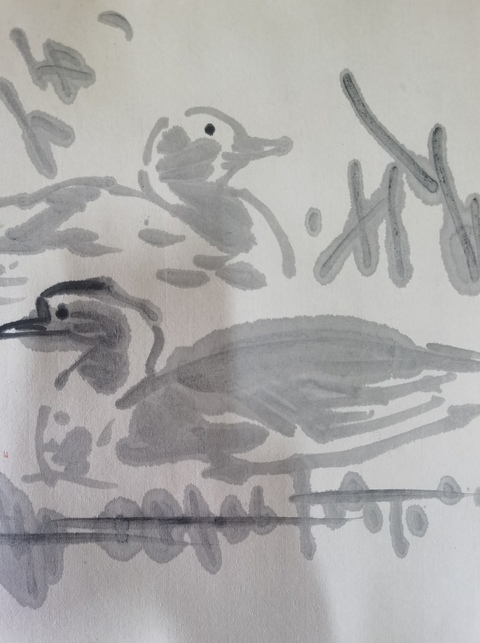 古玩字畫(huà)吳山明水墨池塘雙鴨真品鑒賞圖