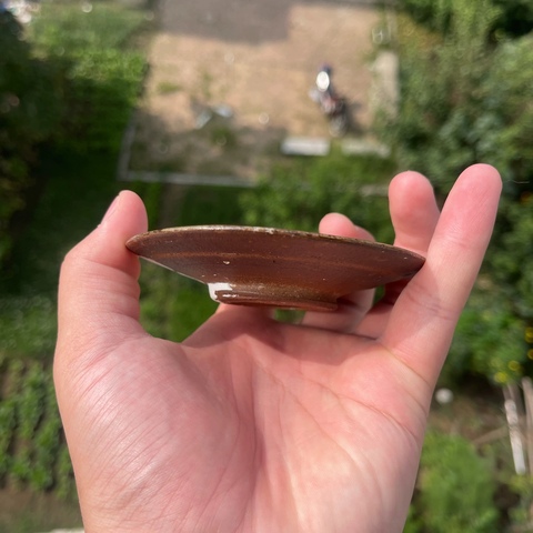 古玩陶瓷鈞窯小盤真品鑒賞圖