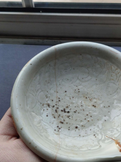 古玩陶瓷湖田窯青白釉娃娃盤真品鑒賞圖