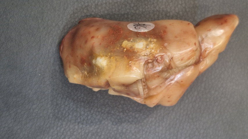 古玩雜項壽山石擺件真品鑒賞圖