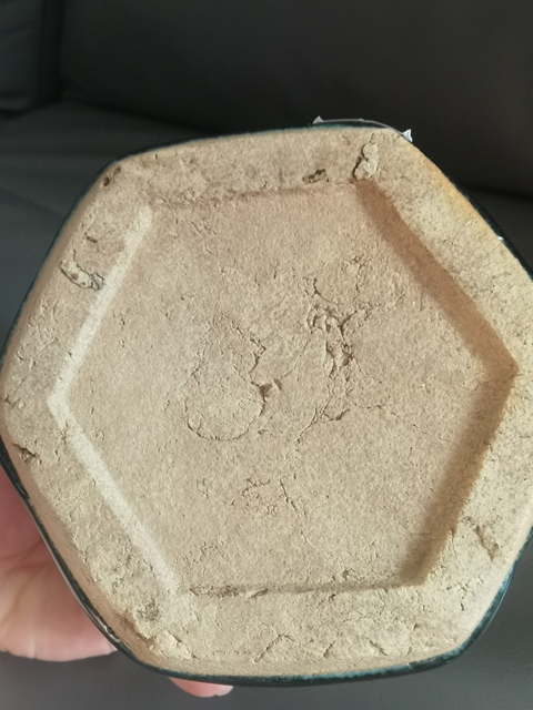 古玩陶瓷綠釉花卉紋罐真品鑒賞圖