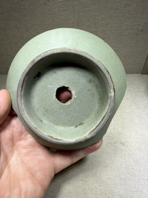 古玩陶瓷低齡頭標(biāo)本真品鑒賞圖