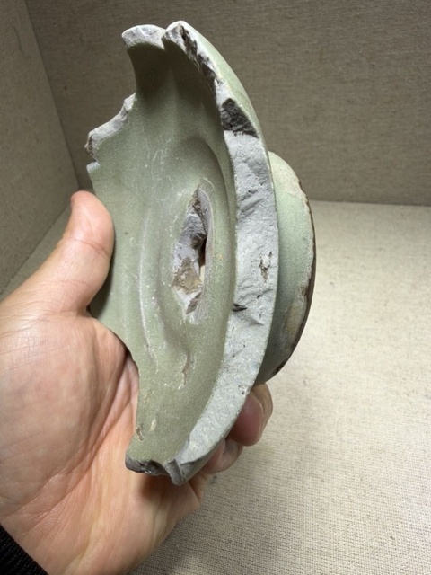 古玩陶瓷低齡頭標(biāo)本真品鑒賞圖