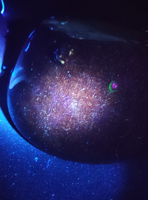 古玩陶瓷紅釉三足爐真品鑒賞圖