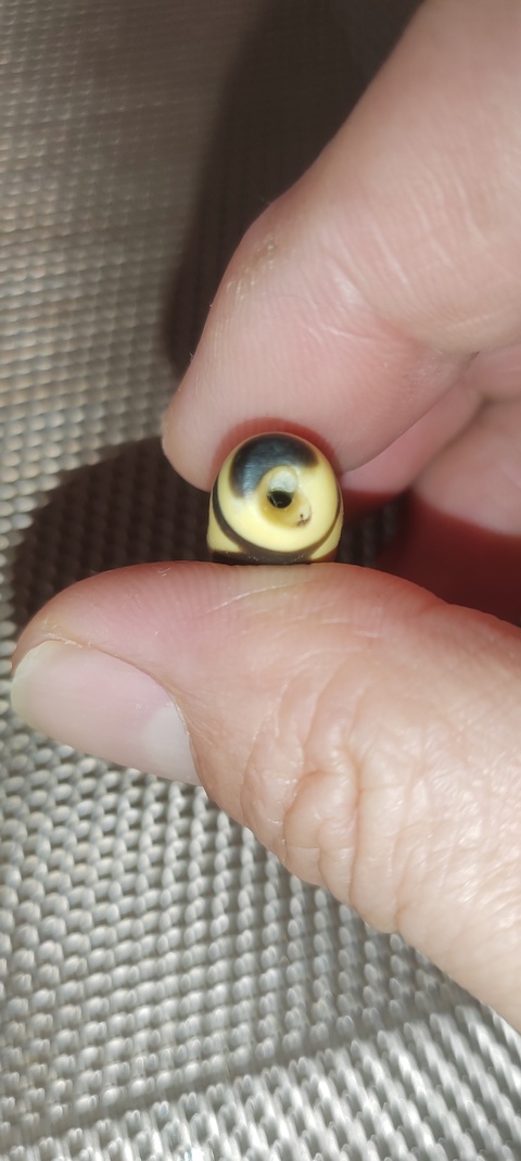 古玩玉器清未老料器天珠拍賣，當前價格999元