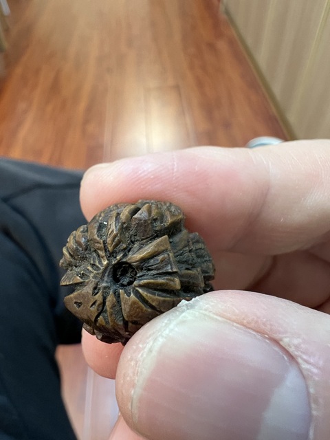 古玩雜項骨雕？真品鑒賞圖