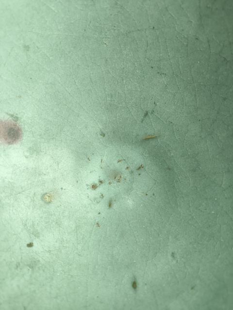 古玩陶瓷元代·天藍釉紅斑碗 真品鑒賞圖