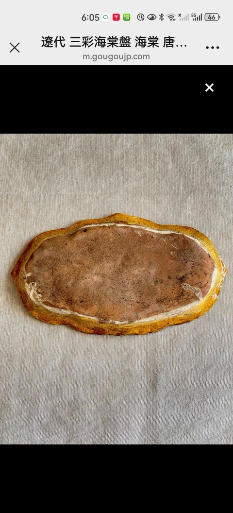 古玩陶瓷遼三彩花卉紋盤真品鑒賞圖