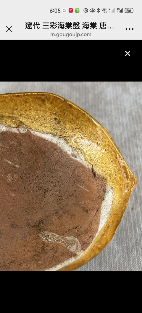 古玩陶瓷遼三彩花卉紋盤真品鑒賞圖