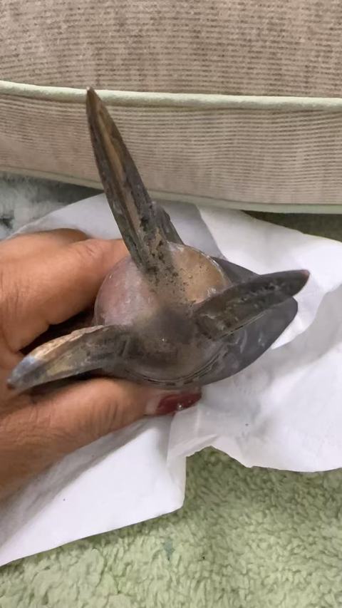 古玩銅器銅鎏金爵杯真品鑒賞圖