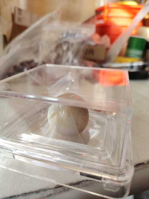 古玩玉器瑪瑙“影舍利”真品鑒賞圖