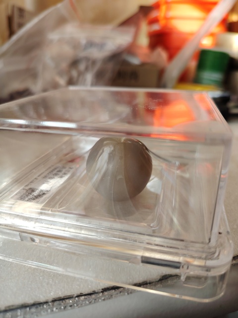 古玩玉器瑪瑙“影舍利”真品鑒賞圖