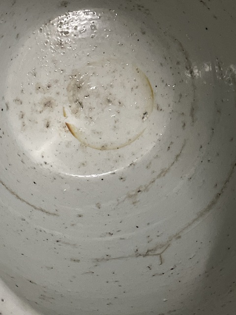 古玩陶瓷晚清青花卷缸真品鑒賞圖