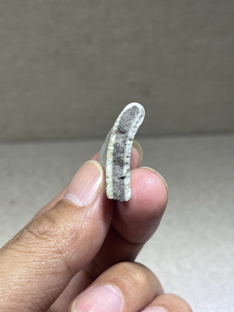 古玩陶瓷哥釉標本真品鑒賞圖