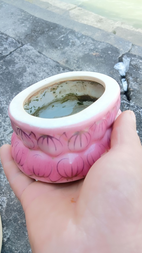 古玩陶瓷粉彩蓮花底座真品鑒賞圖