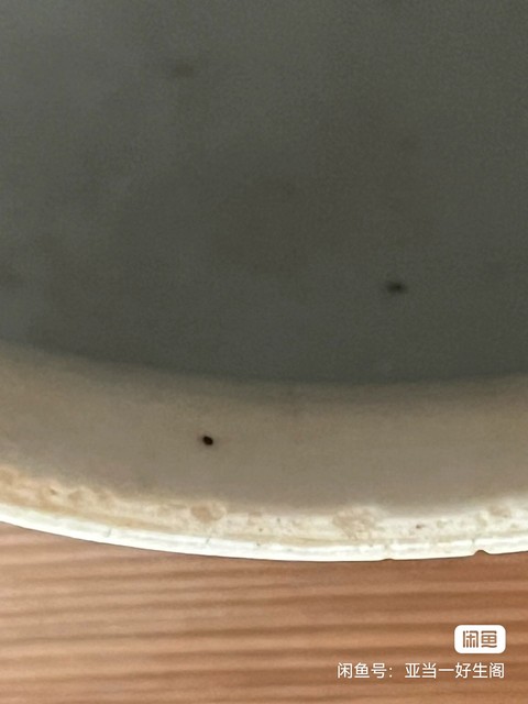 古玩陶瓷青花連生貴子罐真品鑒賞圖