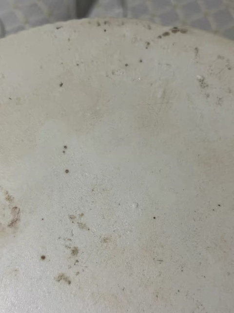 古玩陶瓷清光緒仕女紋淺絳彩花口盤真品鑒賞圖