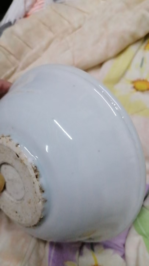 古玩陶瓷青花百財(cái)紋小碗真品鑒賞圖