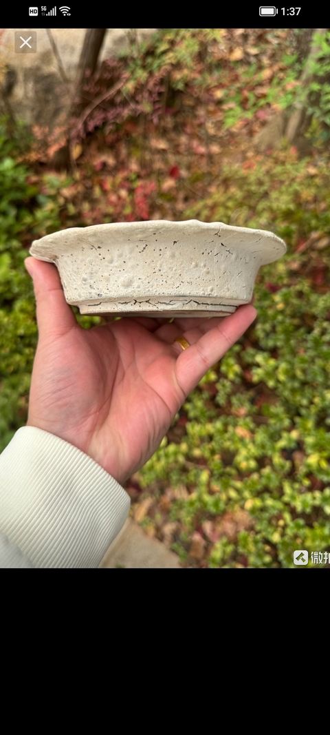 古玩陶瓷南宋“官窯”板沿洗拍賣，當前價格9998元