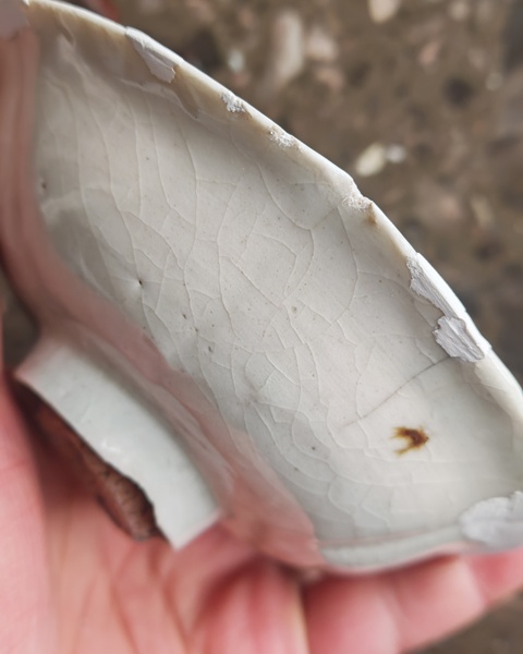 古玩陶瓷青白釉盤真品鑒賞圖