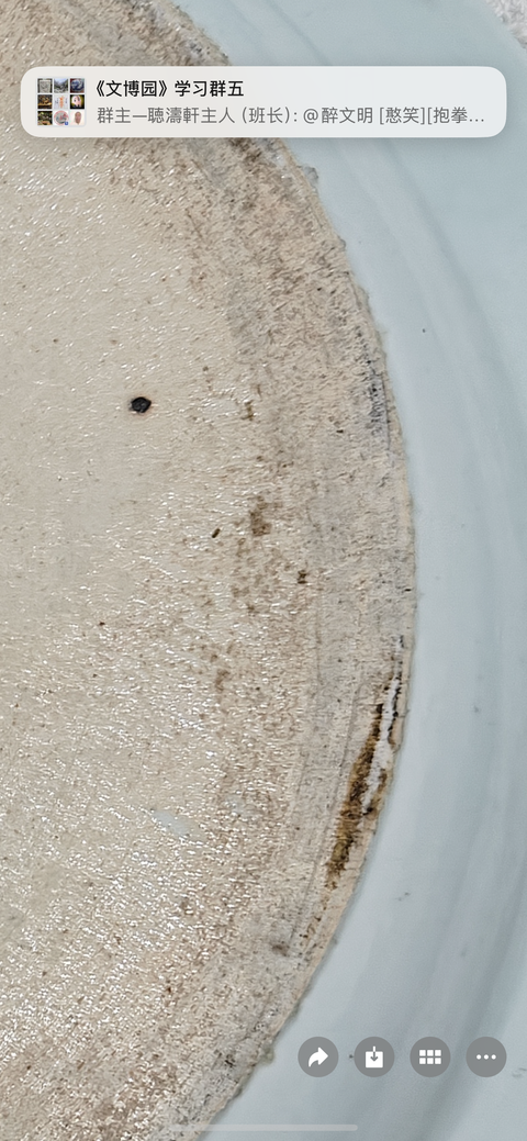 古玩陶瓷庭院鳳凰牡丹紋青花盤真品鑒賞圖