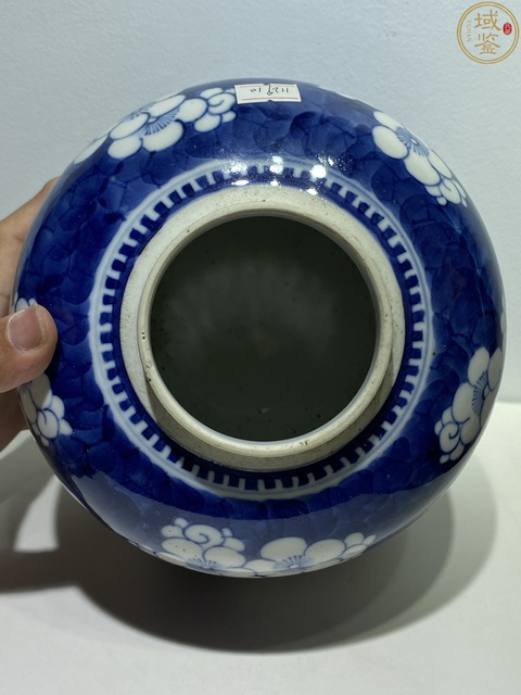 古玩陶瓷晚清青花冰梅罐真品鑒賞圖