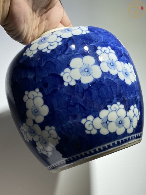 古玩陶瓷晚清青花冰梅罐真品鑒賞圖