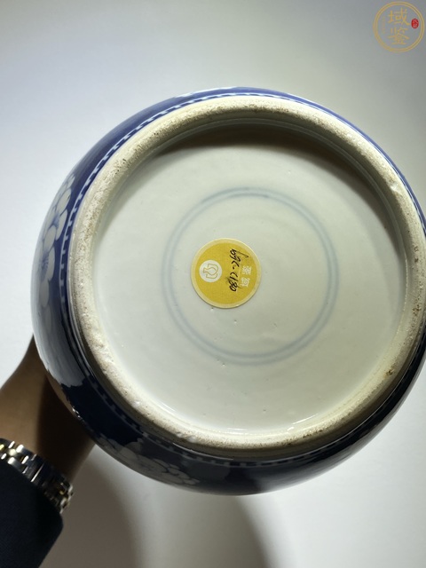 古玩陶瓷晚清青花冰梅罐真品鑒賞圖