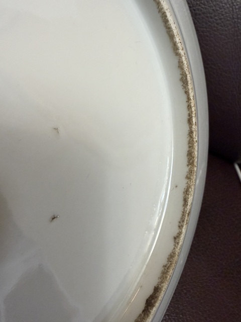 古玩陶瓷松石綠地粉彩瓜蝶盤真品鑒賞圖