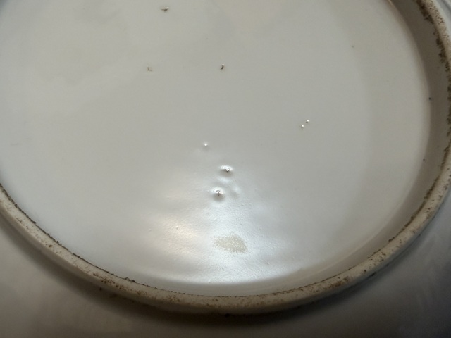 古玩陶瓷松石綠地粉彩瓜蝶盤真品鑒賞圖