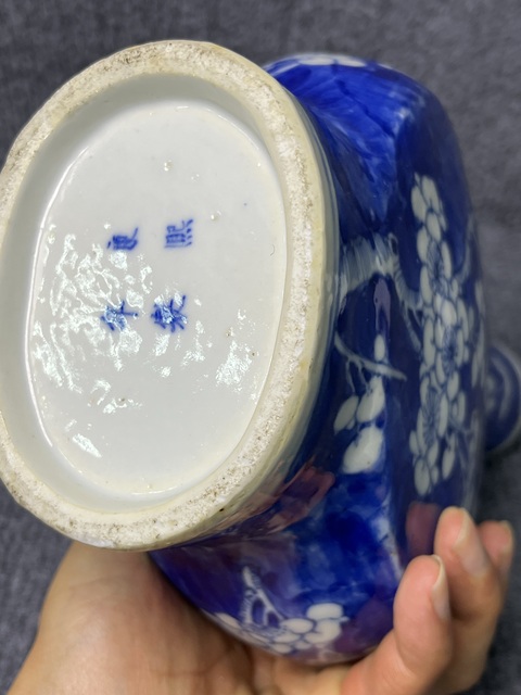 古玩陶瓷冰梅抱月瓶真品鑒賞圖