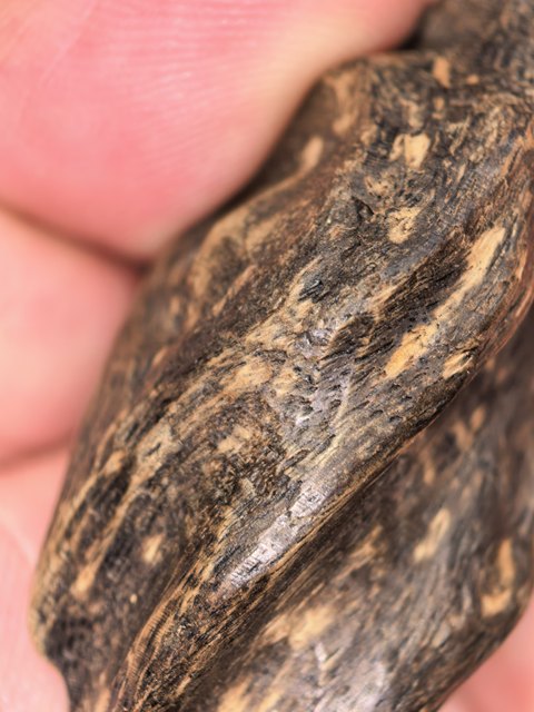 古玩雜項(xiàng)沉香真品鑒賞圖