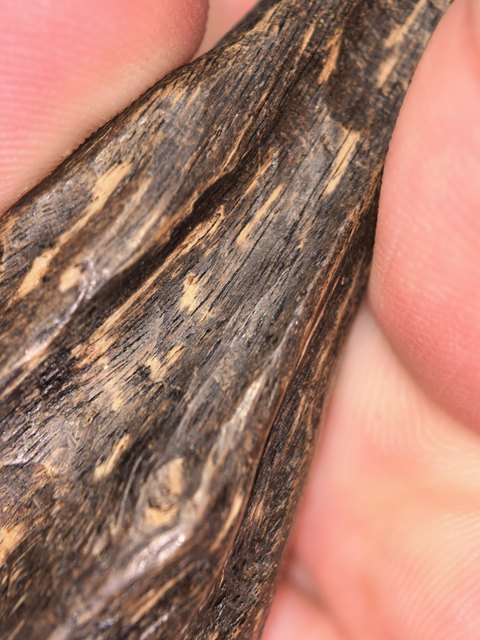 古玩雜項(xiàng)沉香真品鑒賞圖