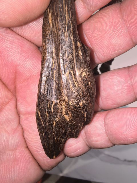 古玩雜項(xiàng)沉香真品鑒賞圖