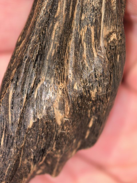 古玩雜項(xiàng)沉香真品鑒賞圖