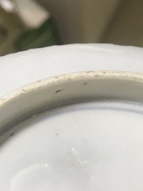 古玩陶瓷青花龍紋標本真品鑒賞圖